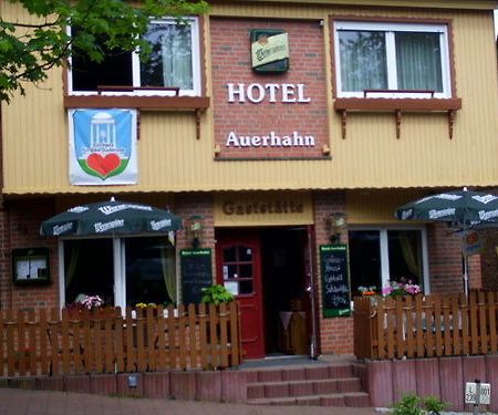Auerhahn Hotell Bad Suderode Exteriör bild